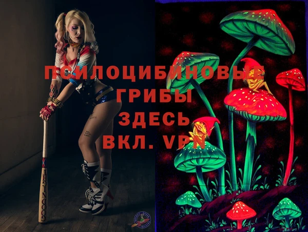 прущая мука Костерёво