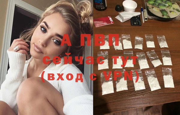 ALPHA PVP Корсаков