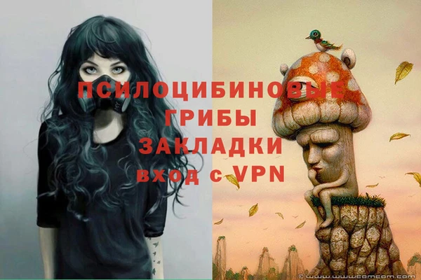 jwh Коряжма