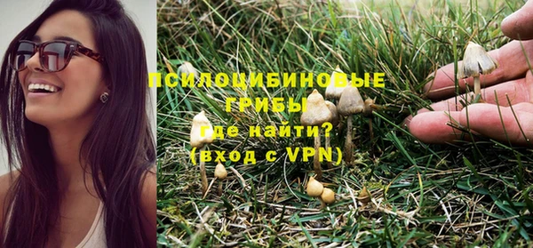 ALPHA PVP Корсаков