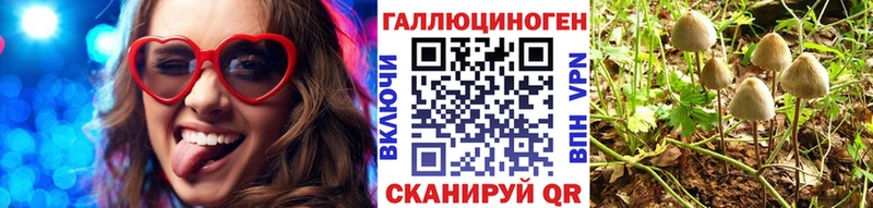 Псилоцибиновые грибы прущие грибы  Мончегорск 