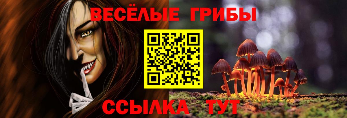 Псилоцибиновые грибы Psilocybe Мончегорск