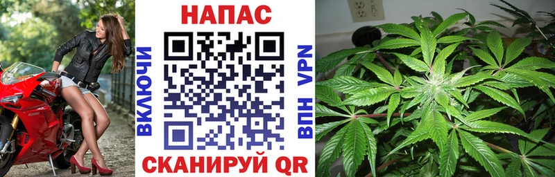 купить наркотики сайты  Мончегорск  кракен как зайти  Бошки марихуана сатива 